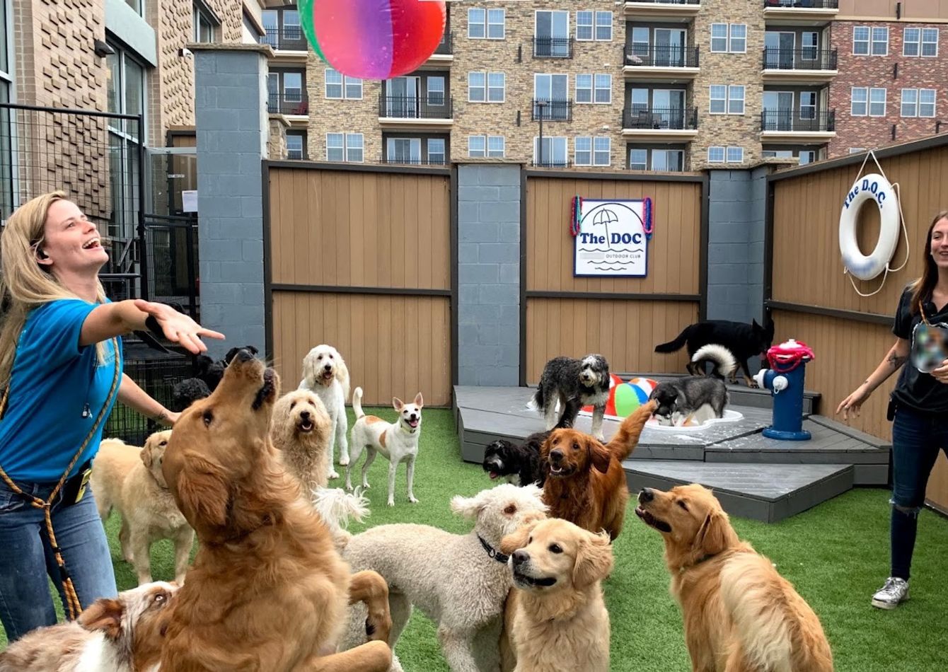Image of Established, Manager‑Led Pet‑Care Franchise – Strong Cash Flow – Expansion Ready
