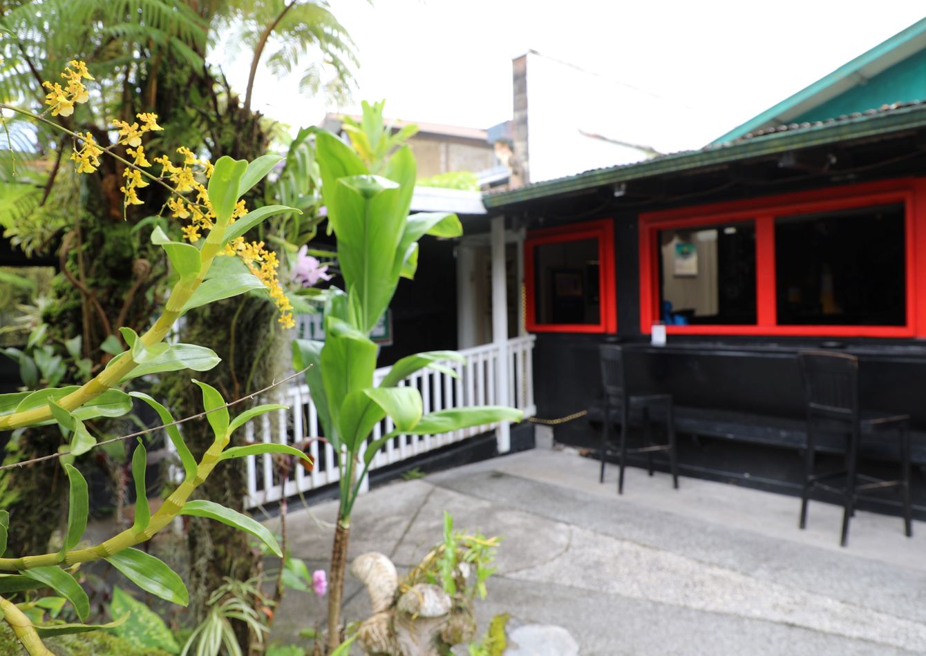 Lava Shack Lava Shack Bar: Own Island Legacy with Turnkey Opportunity! In US West