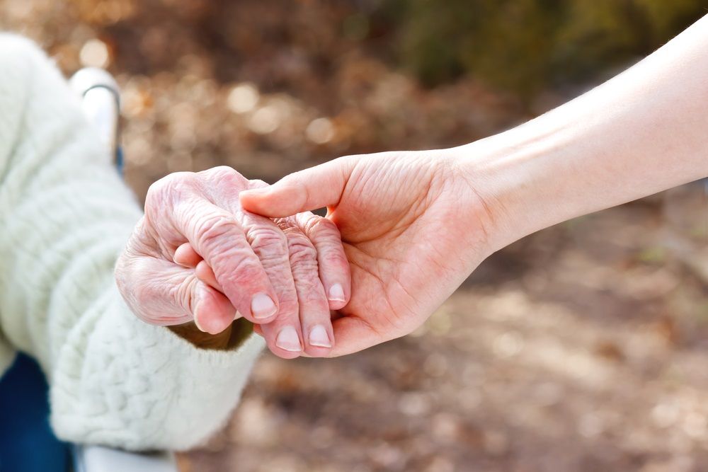 Image of Established Senior Care Franchise