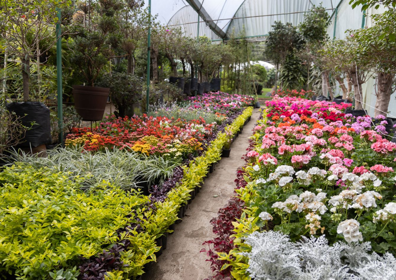 Image of Premier Retail Garden Center — Palm Beach County, Florida