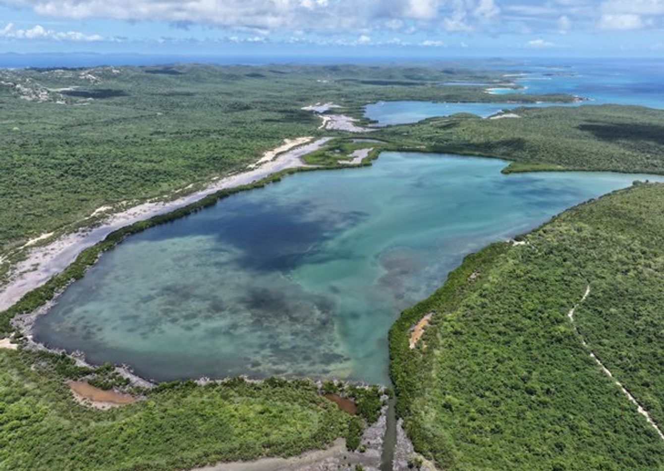 DJI_20260323175716_0033_D (4).jpg