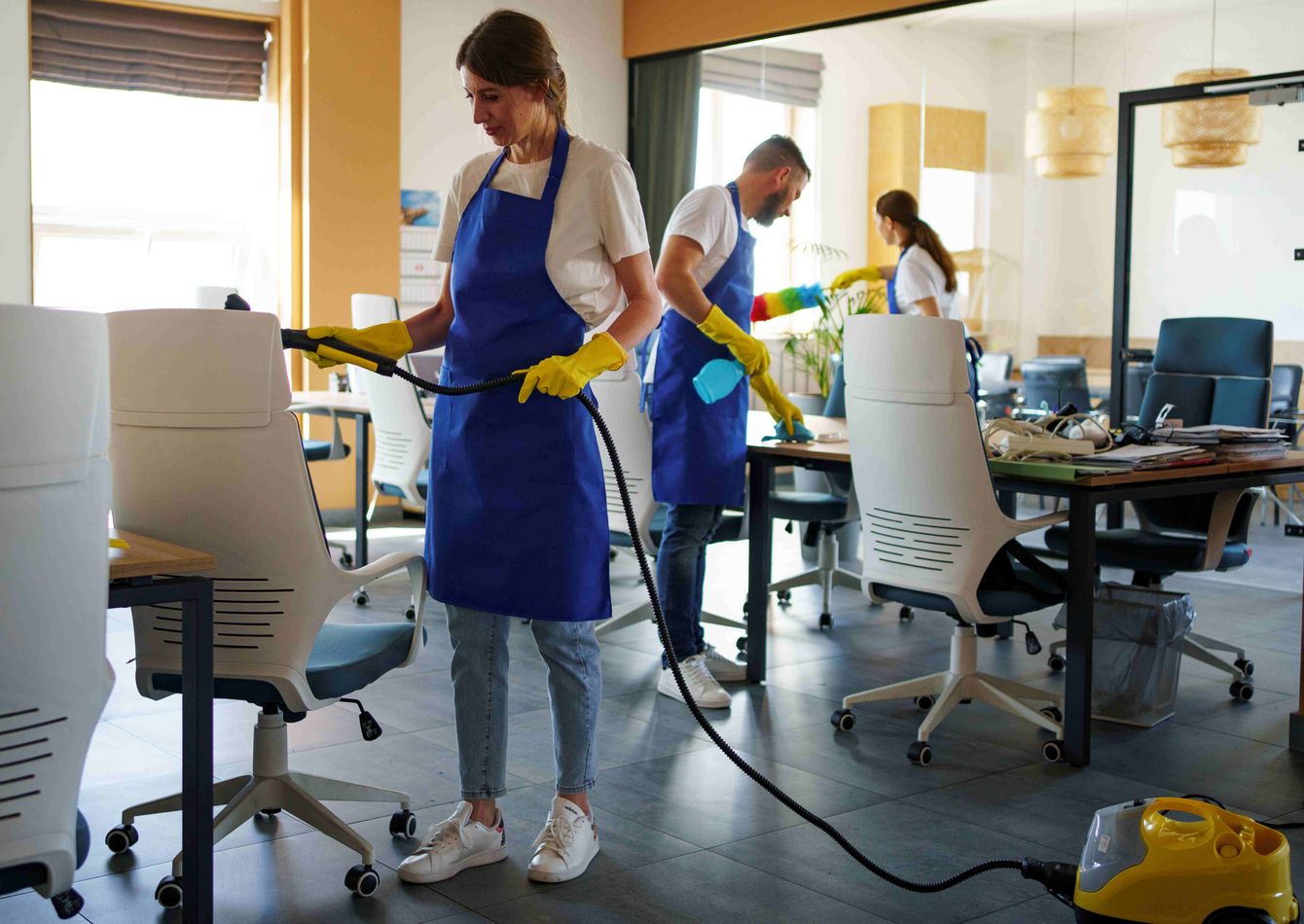 Image of Profitable Commercial Cleaning Company