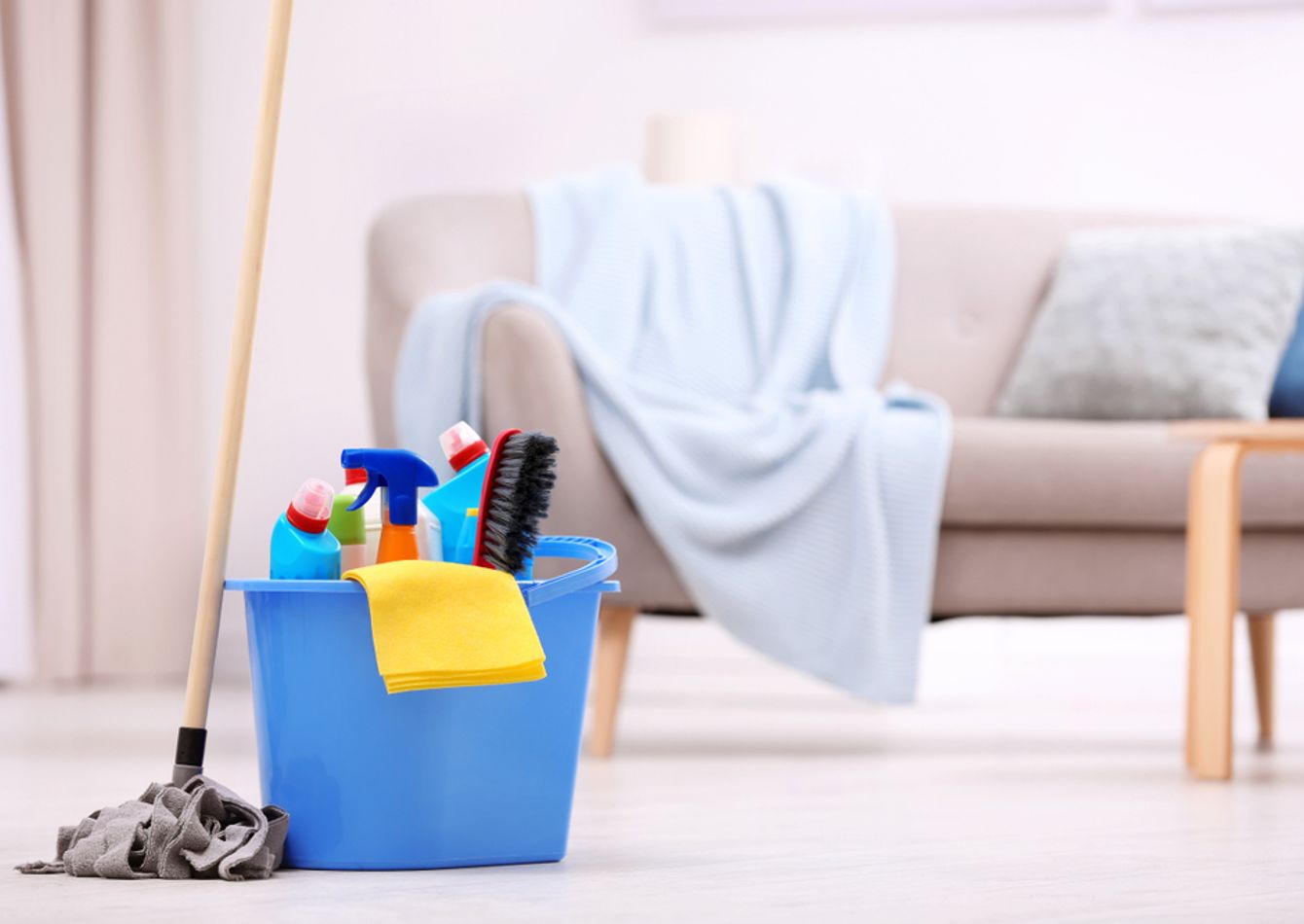 Image of Turn-Key Vacation Rental Cleaning Business in Scenic Northern Minnesota! Reliable Year-Round Income. 57376