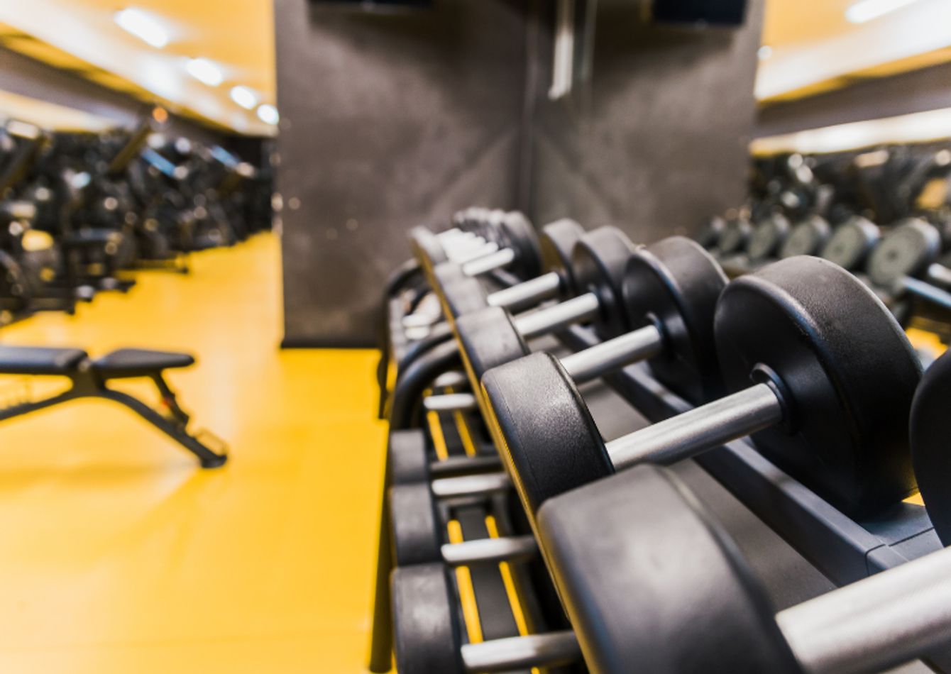Image of Large Full-Service Fitness Club with Strong Recurring Revenue. 58530