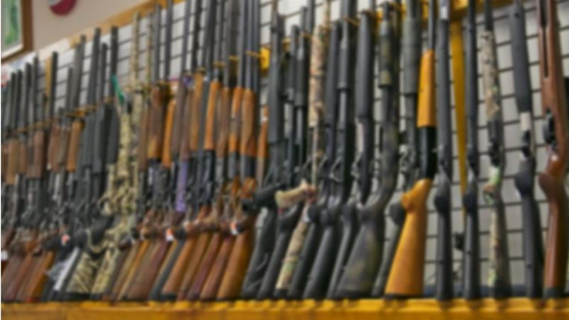 Image of Firearms and Ammunition Store