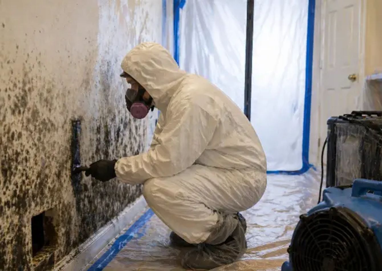 Image of Established Water & Fire Restoration Franchise w/ recurring insurance-driven revenue
