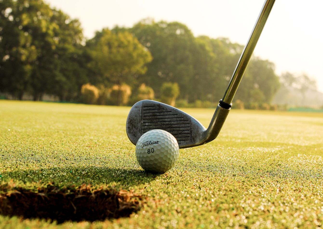 Image of Absentee-Run Golf Improvement Tool Company - SC2270