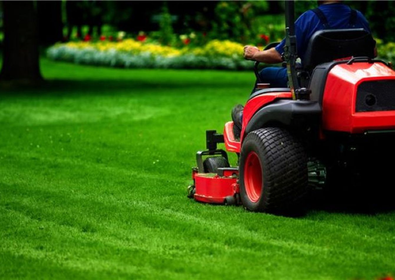 Image of Established Commercial Landscaping Business with $1.6M Revenue and Long-Term Client Partnerships