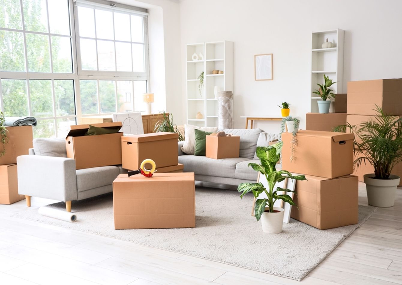 Image of Small but Growing and Profitable Moving Company, 2026 SDE Projected at $130,000