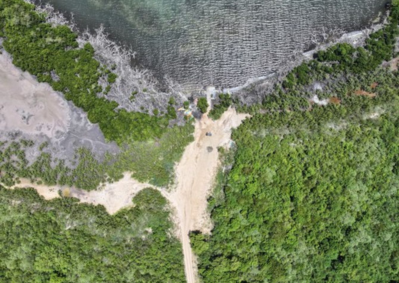 DJI_20260323175912_0037_D (3).jpg