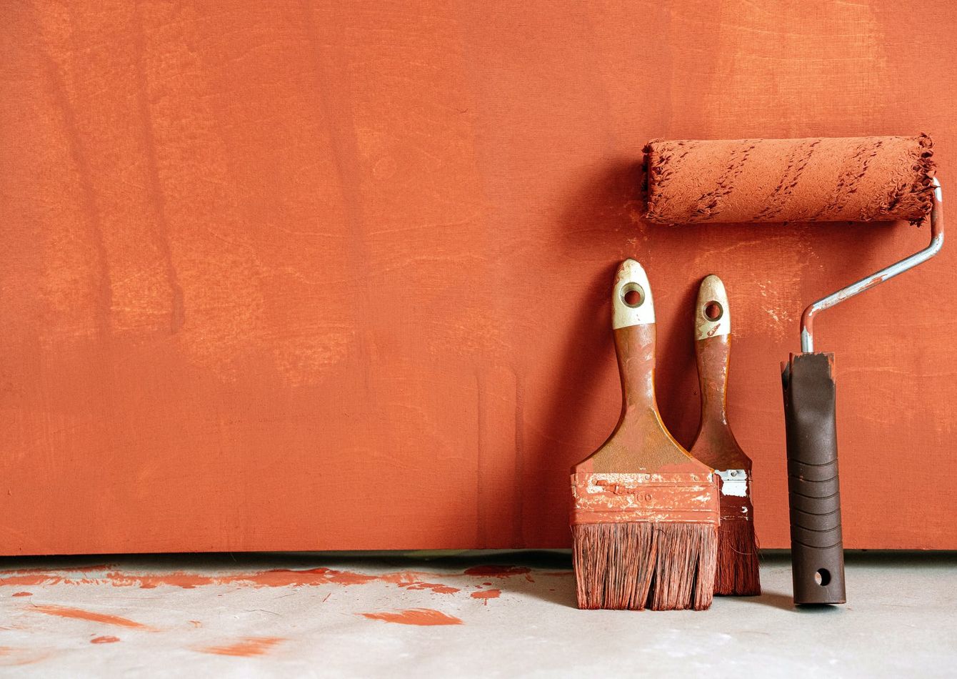 Image of Established Paint, Carpet & Flooring Retail Store