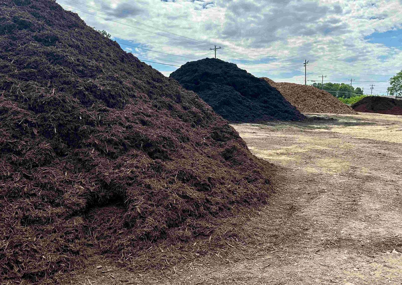 (lcX0jiOTfrIj3uDCd-N72)Mulch.jpg