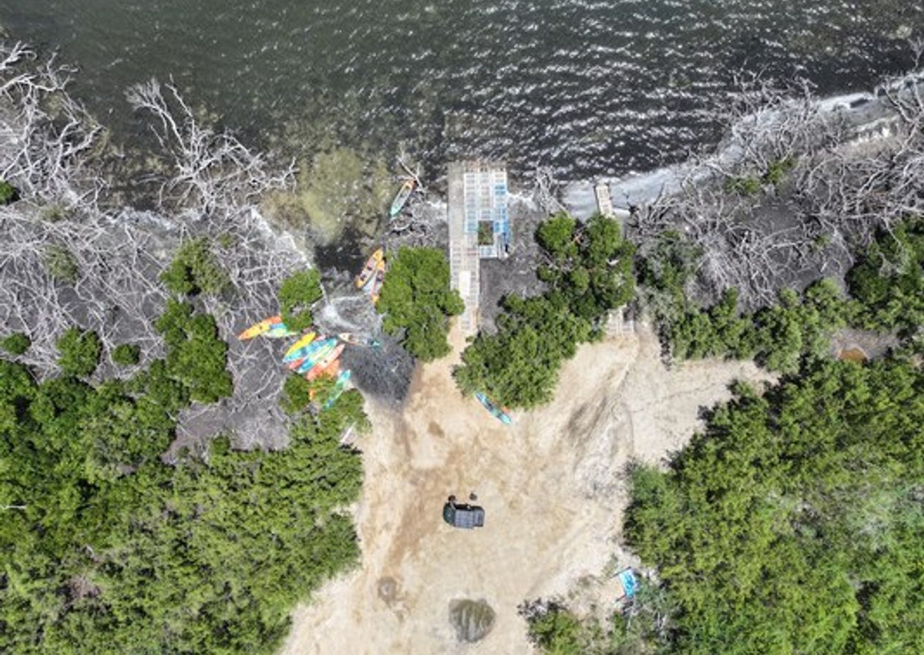 DJI_20260323175936_0038_D (3).jpg