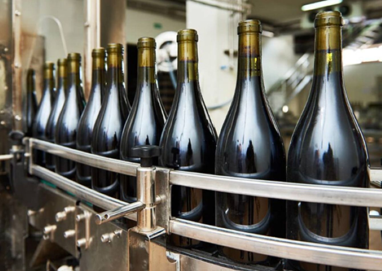 Image of REDUCED - Building and Wine Making Business for sale