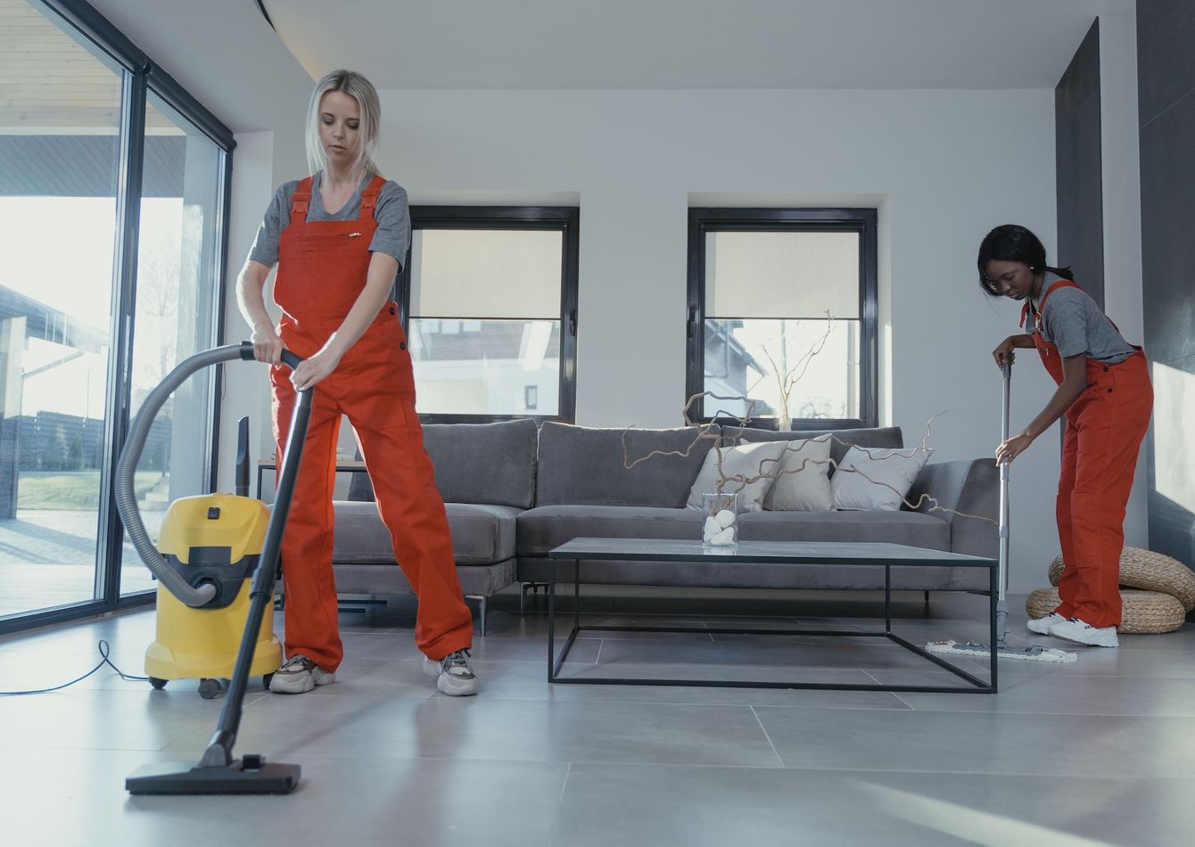 Image of Cleaning Services- Residential Professional