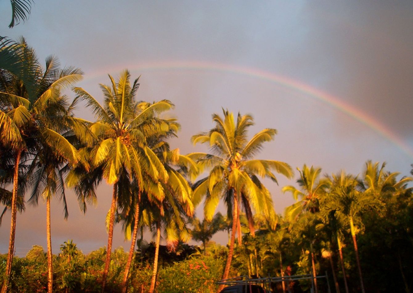 (AvN8CBxKBQn4Byr1P5Tva)rainbow.jpg