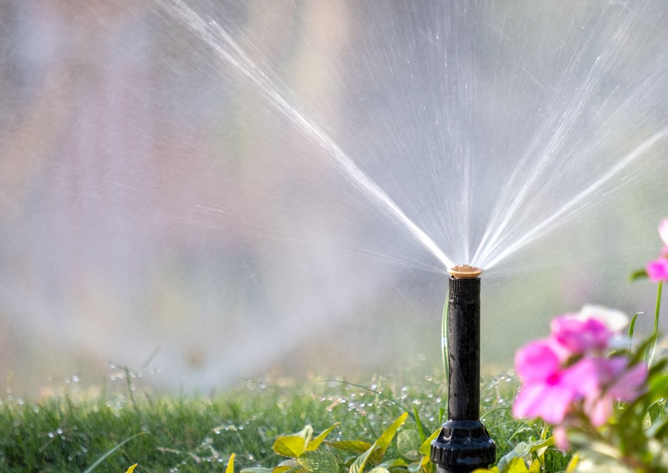 Image of Well-Established Irrigation Service & Repair Business