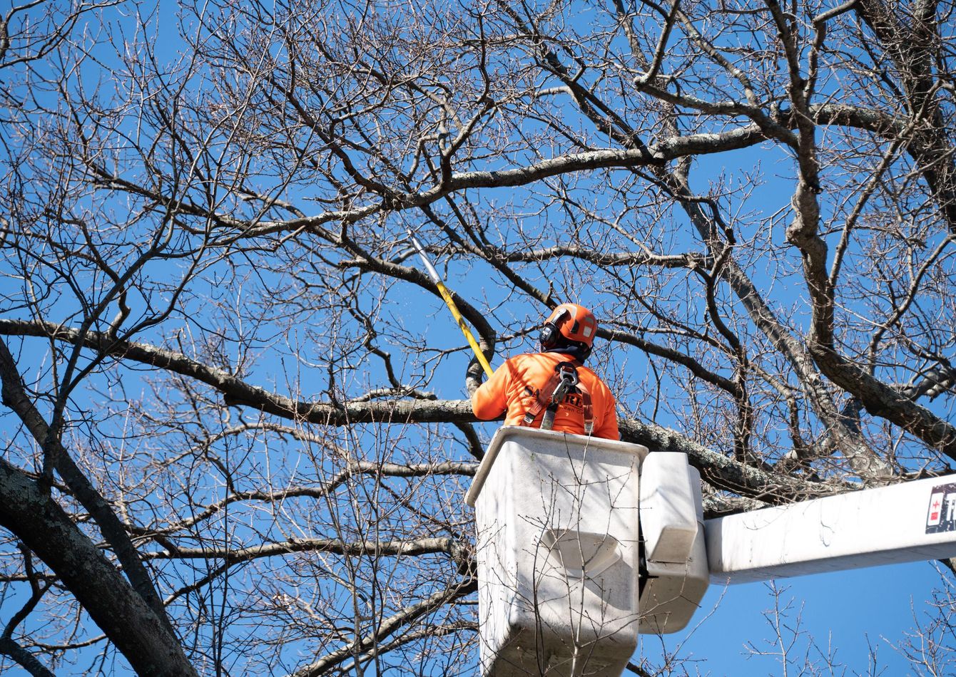 Image of Established Tree Service Co. — Salt Lake County | $285K SDE | Commercial Book
