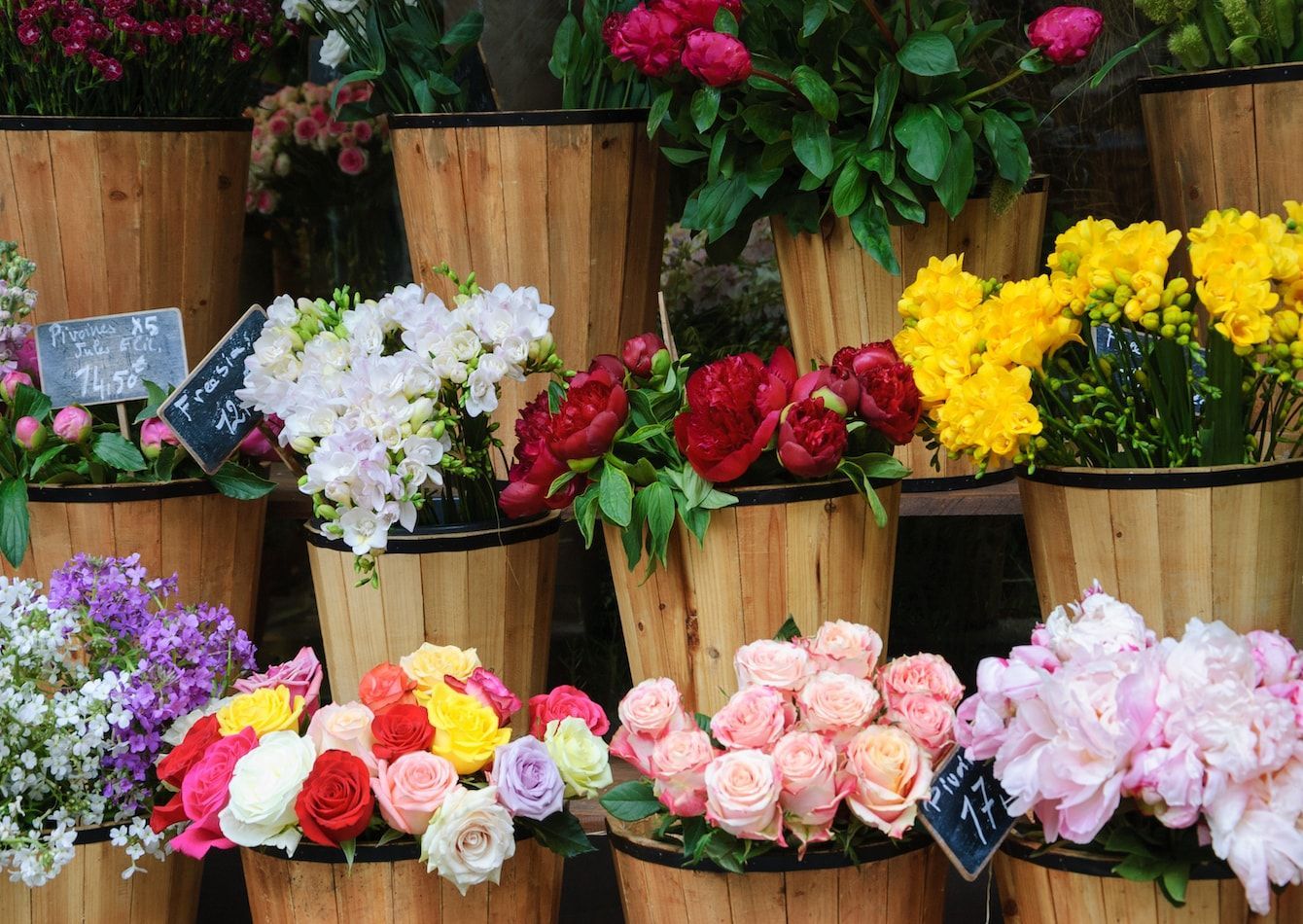 (JfrBajWJGE5kiyBtqL0FM)large-flower-shops-image-1-jpg.jpg