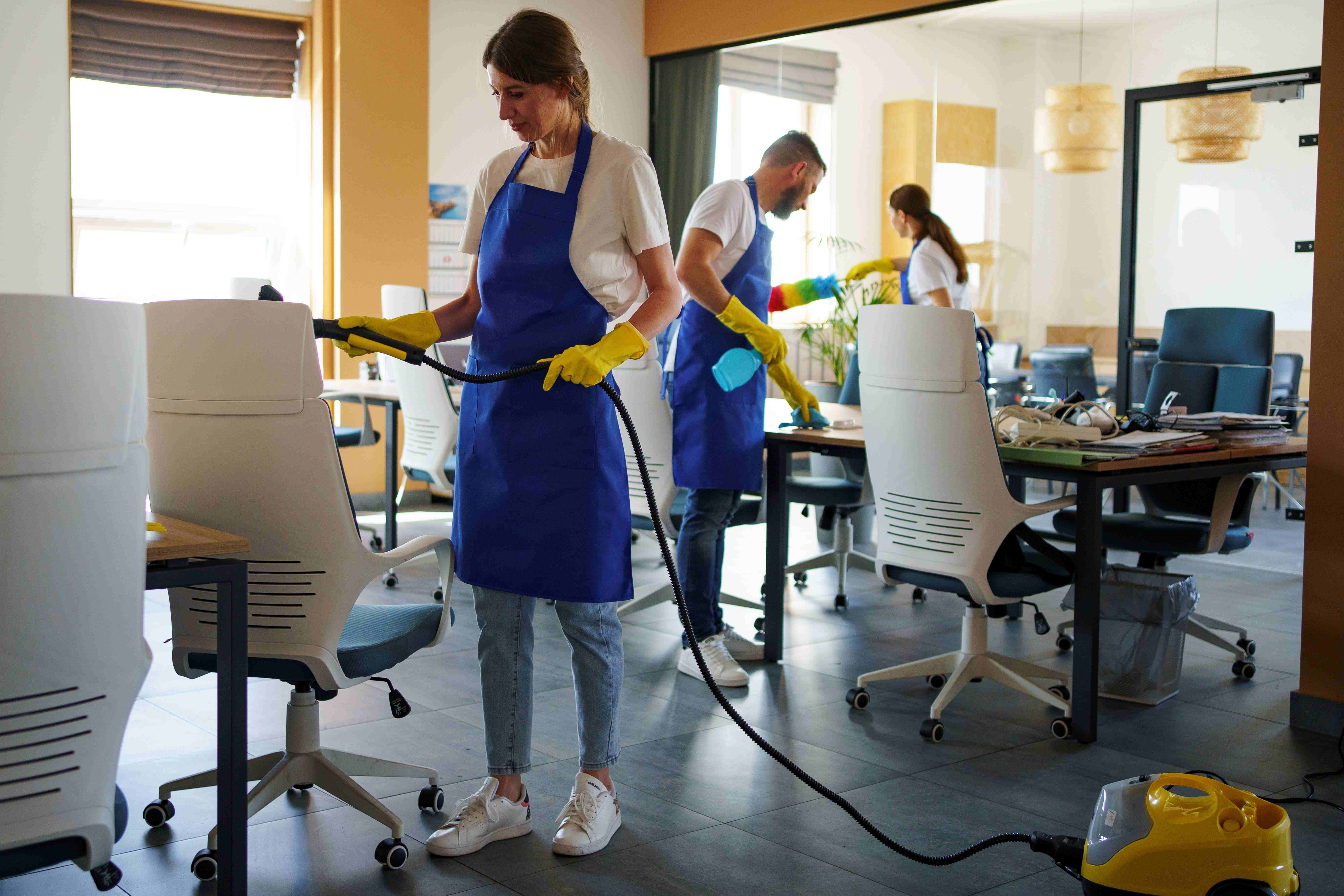Image of Profitable Commercial Cleaning Company 