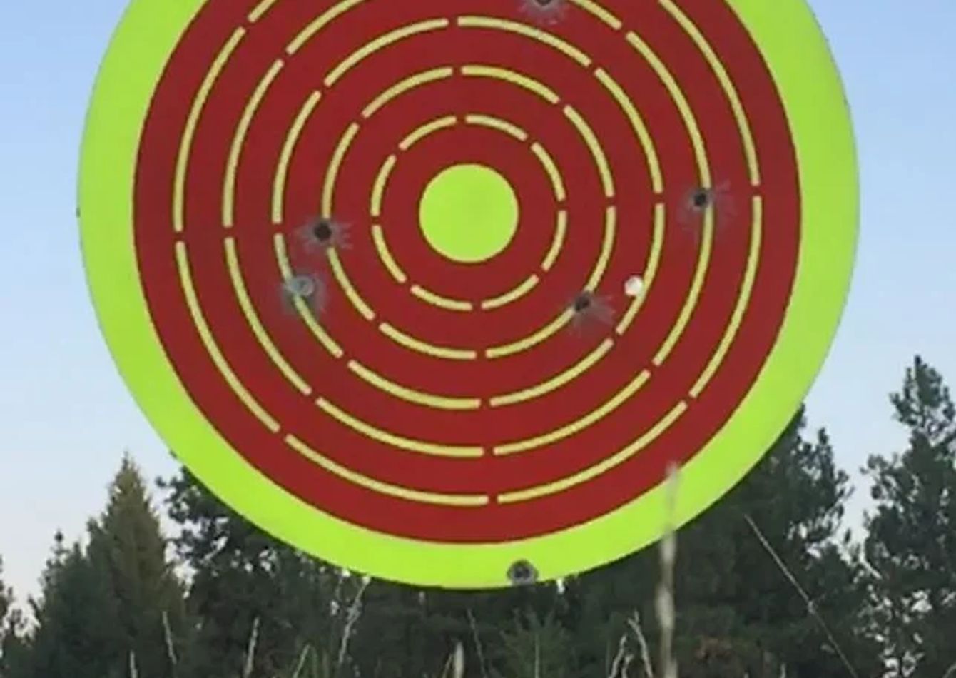 Gong with target Paint zoomed.webp