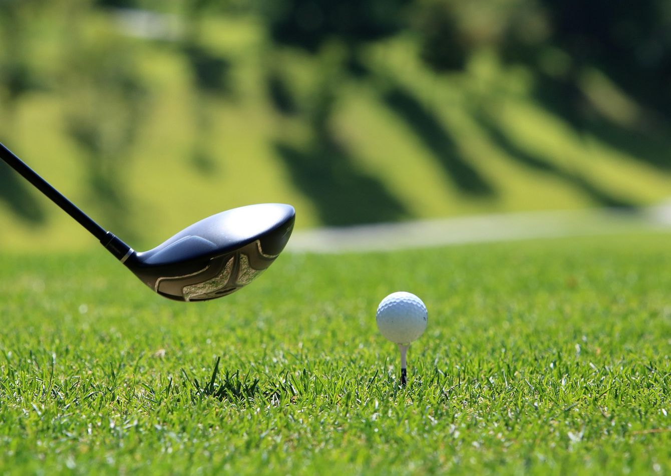 Image of Two-Location Indoor Golf Simulator Business | Membership & Event Revenues | Absentee