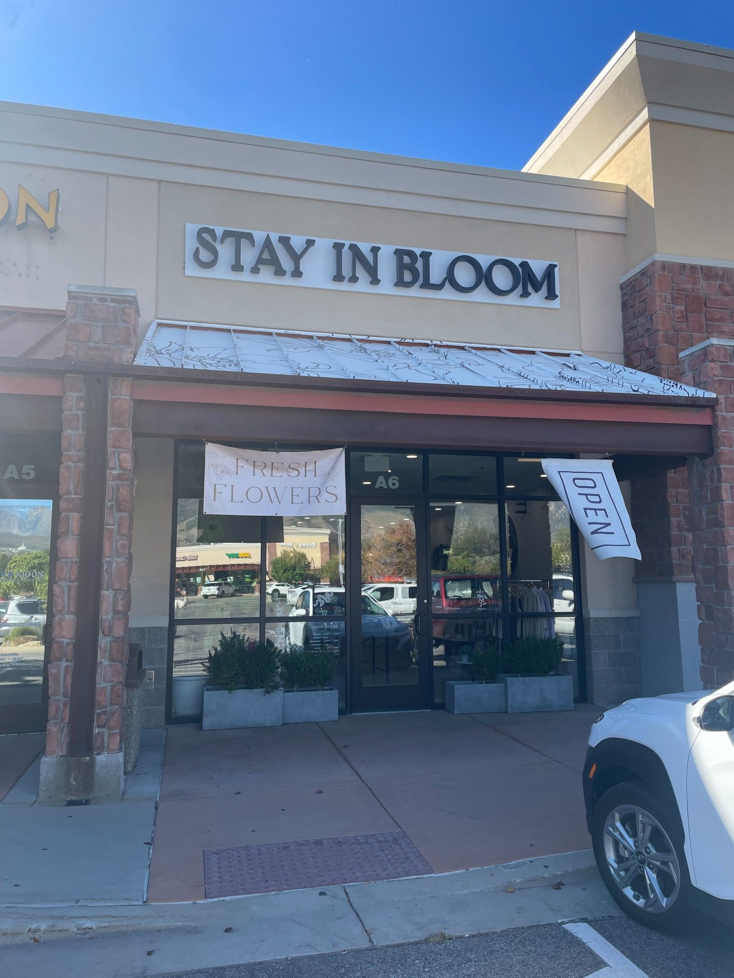Image of Rooted in all things fresh! Profitable Flower shop in Draper Utah