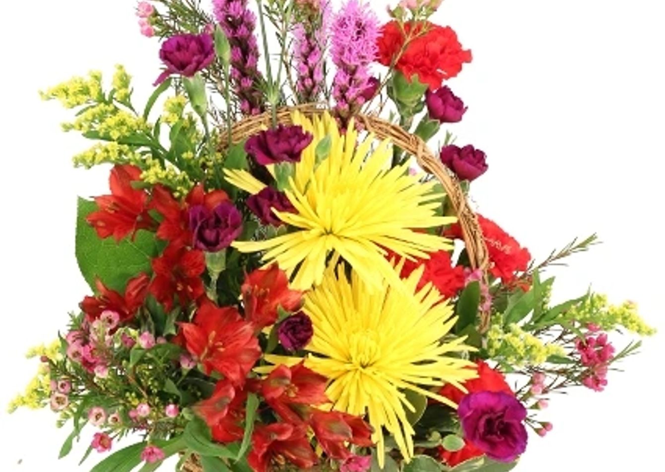 Image of Established Florist & Gift Shop - Real Estate Available