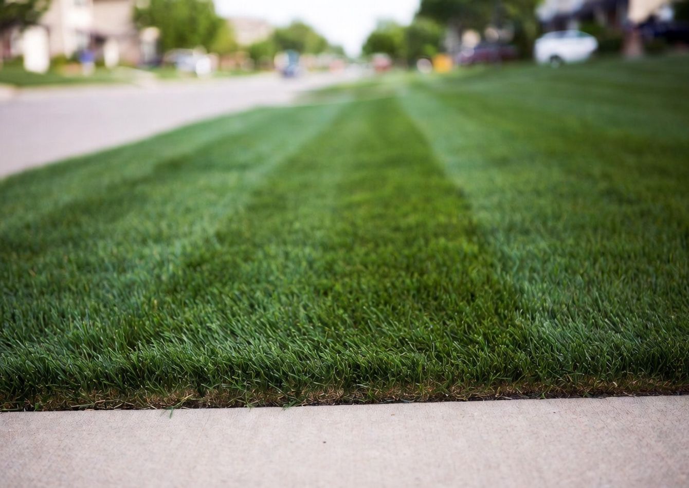 Image of Established Absentee-Owned Outdoor Services Business. 58301