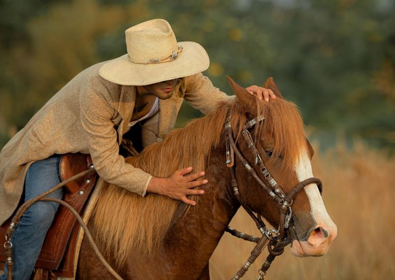 Image of Prestigious Horse Saddle Manufacturer