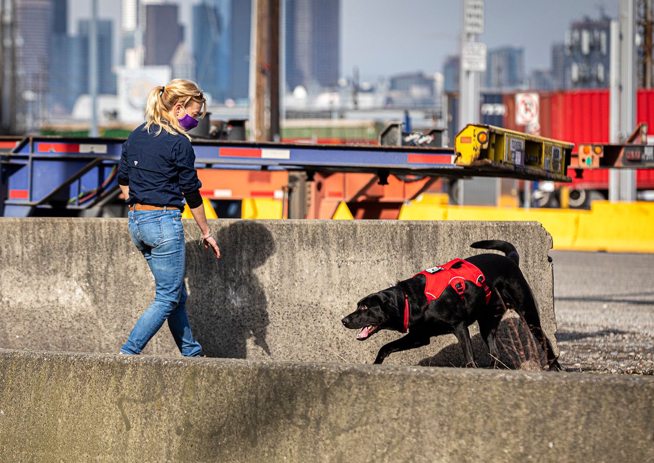 Image of Contraband Detection Services | #1 Franchise Location | 25 Yrs in Operation