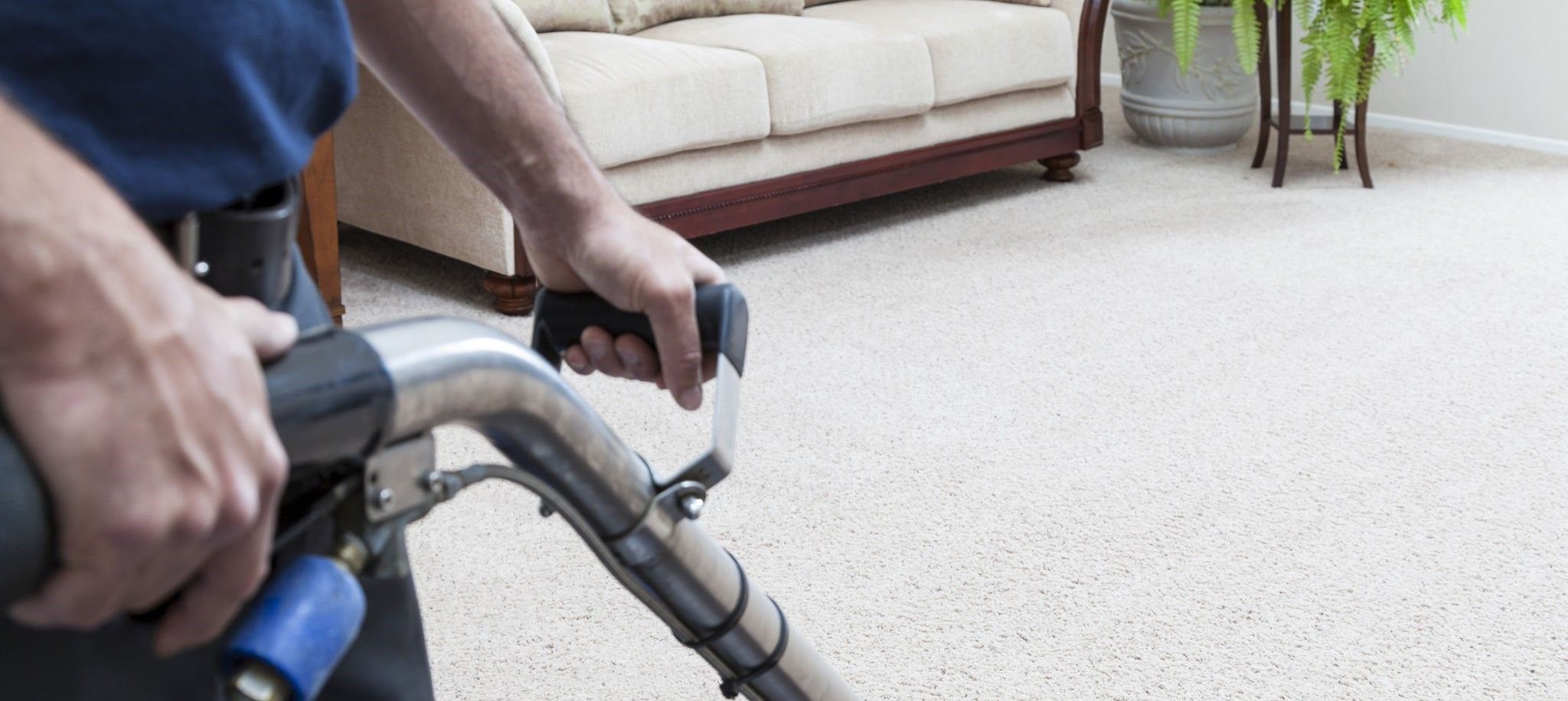 Image of Successful Grand Rapids Metro Carpet Cleaning Service