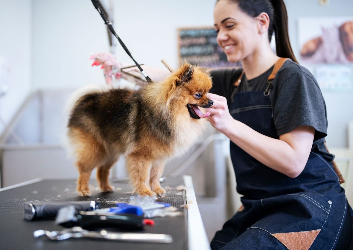 Image of Dual-Revenue Grooming & Pet Retail Shop