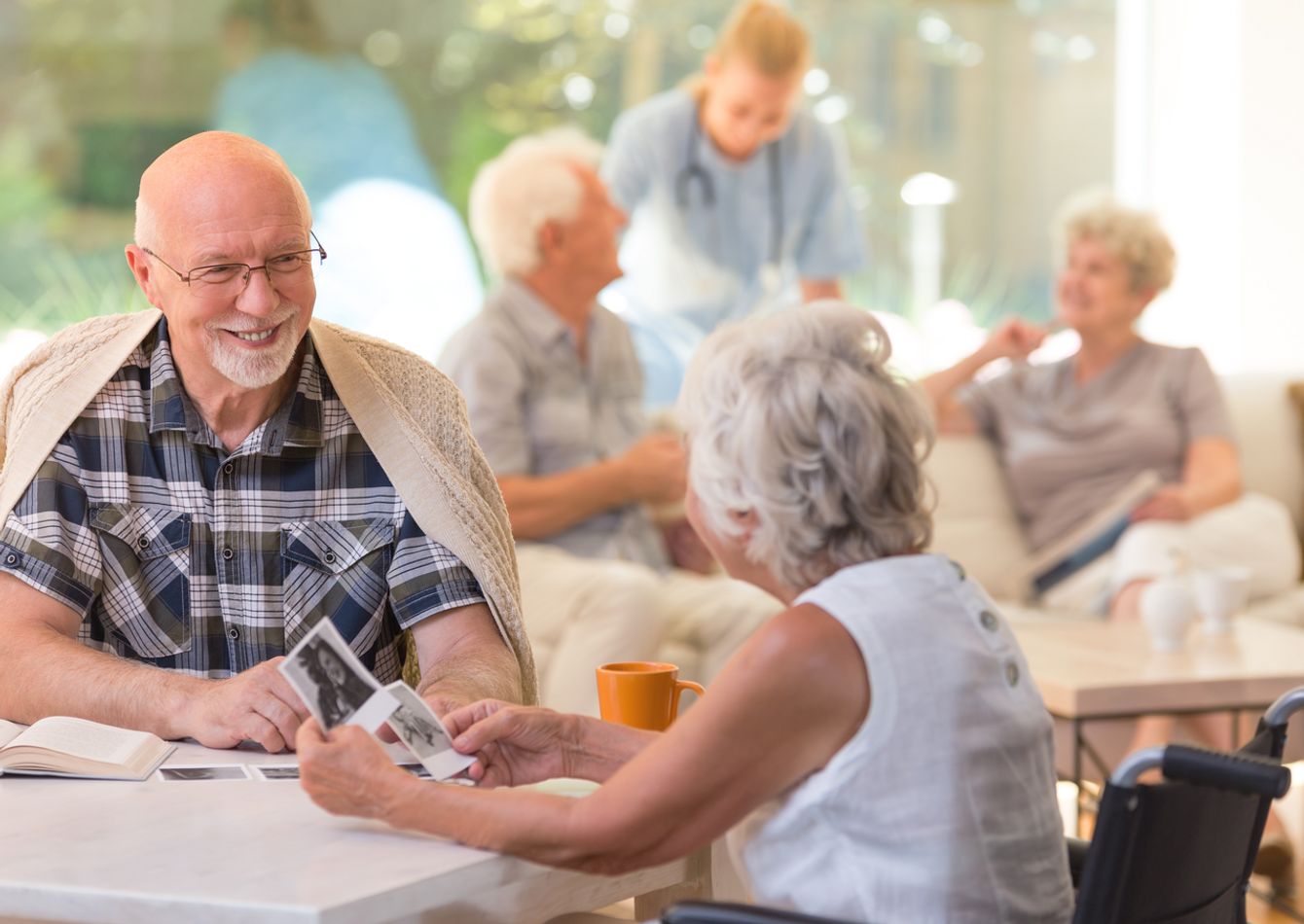 Image of MN Metro Based Multi-Location Assisted Living Facility 59836