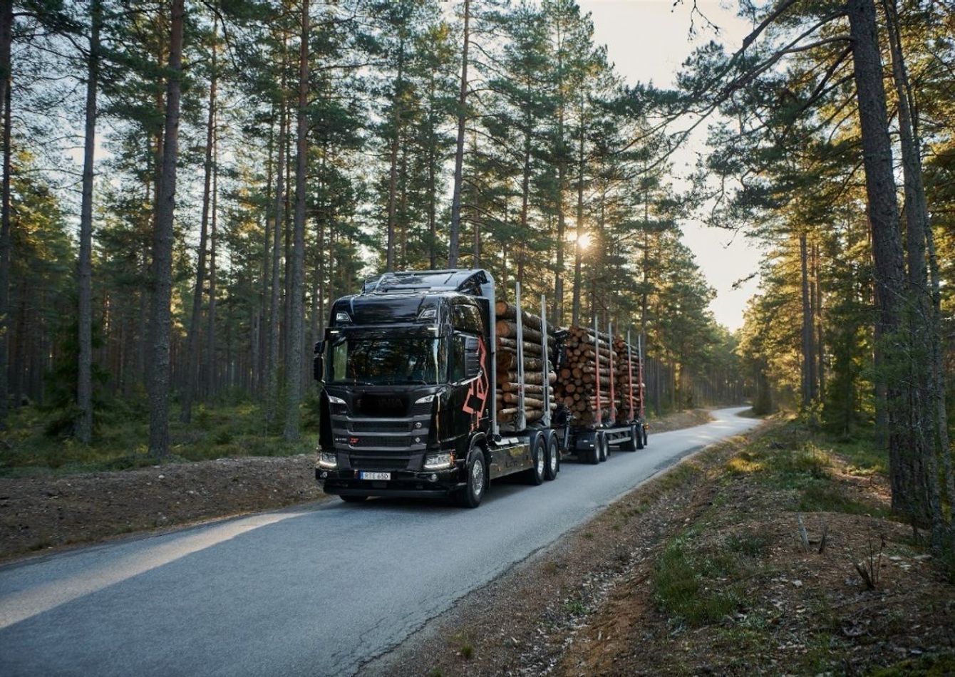 Image of Leading Forestry and Fleet Services in the Southeast with $15MM in Revenue