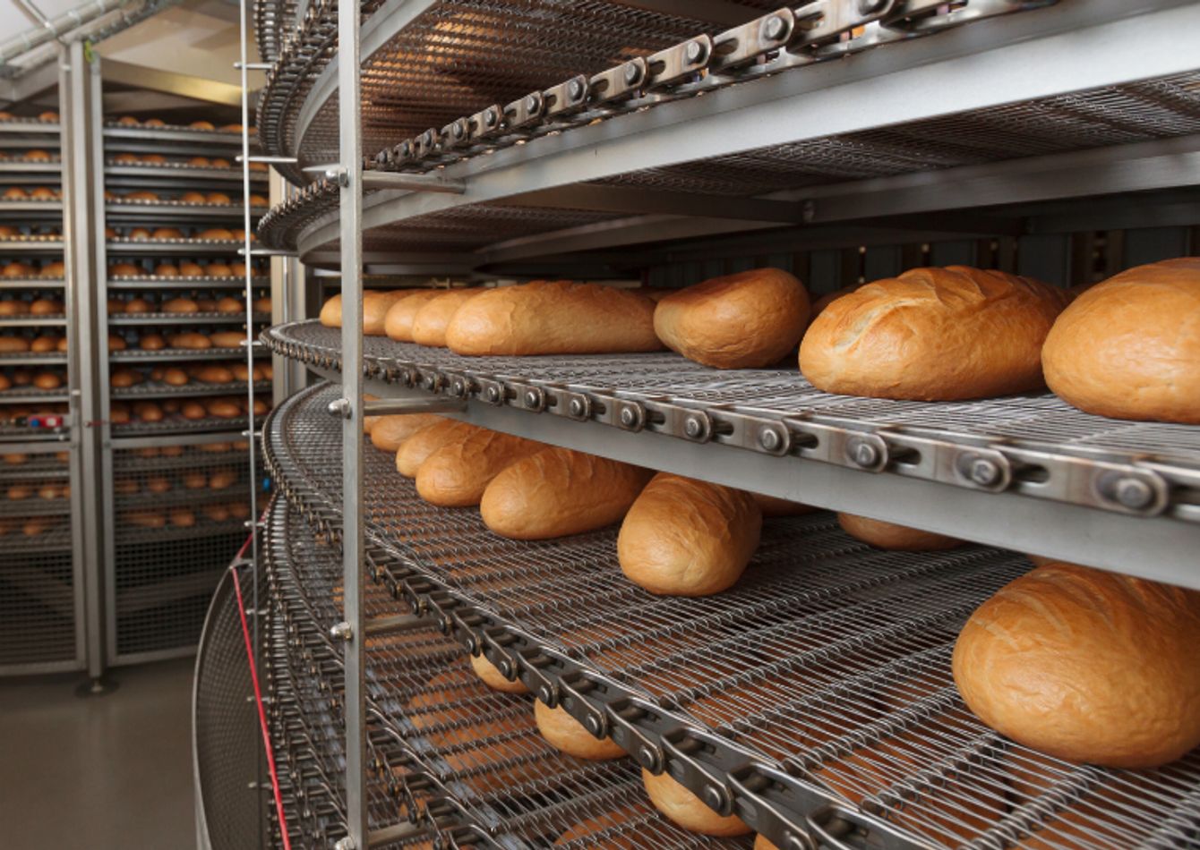 Image of South Florida Wholesale Manufacturing Bakery – Turn-Key Asset Sale