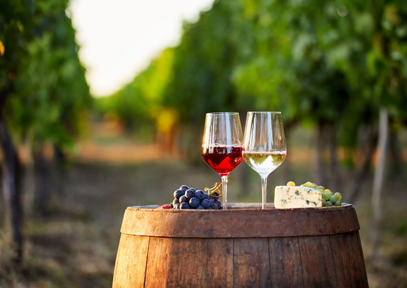 Image of Independently Owned & Operated Farm Winery, Tasting Room, & Events Venue in Minnesota. 57582