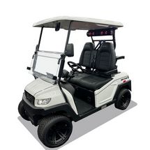 Image of Thriving Electric Golf Cart Business in Prime Coastal Location