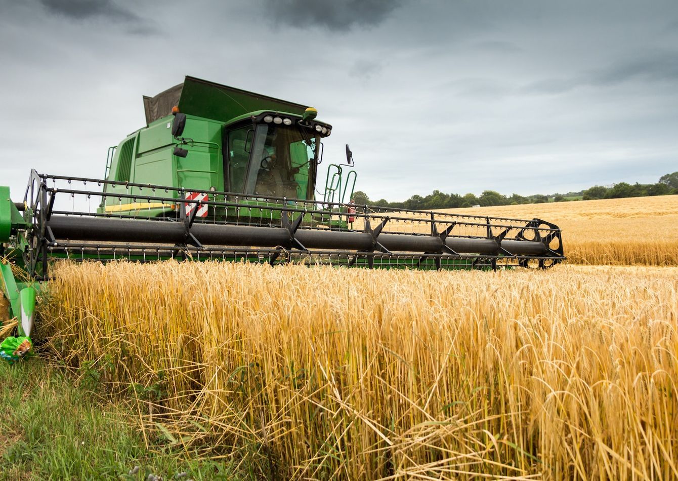 Image of Grain Elevator Business Operation / Real Estate - 1.4M Grain Capacity 