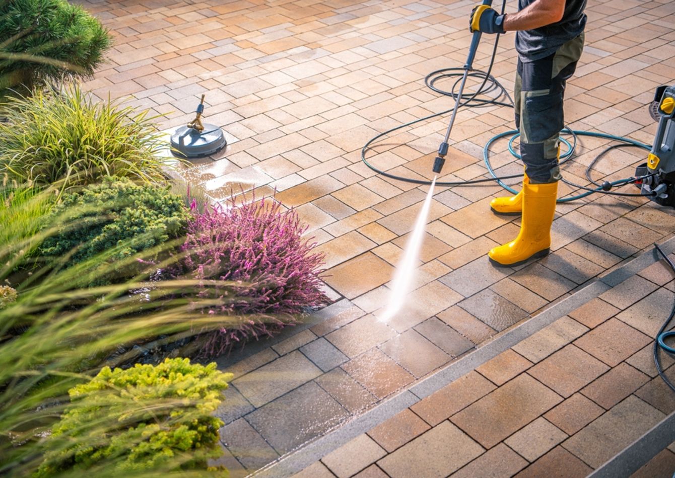 Image of Year-Round Exterior Cleaning & Holiday Lighting Business 59905