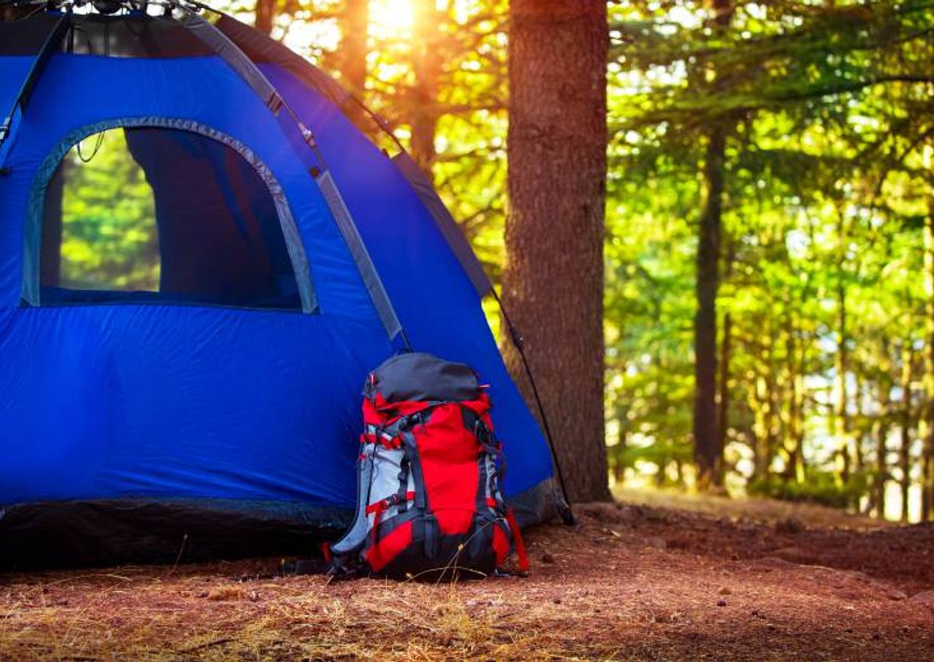 Image of N2240 Established Outdoor Sporting Goods E-Commerce Business