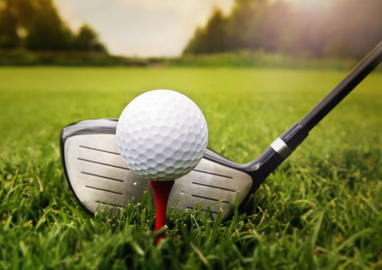 Image of Northern Californian Golf Improvement Tool Company - Absentee Owned! - SC2270