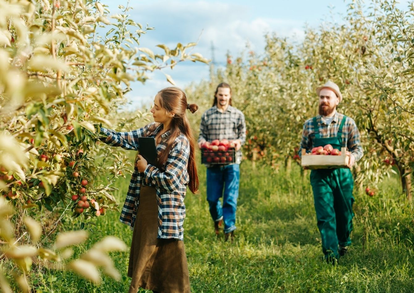 Image of Established Agritourism Destination with Multiple Revenue Streams