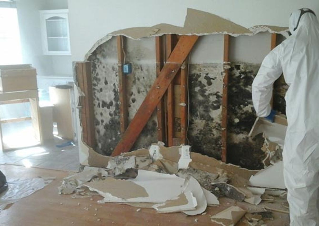 Image of Restoration/Remediation Franchise $718K Adj EBITDA SA1755 (Under Contract)