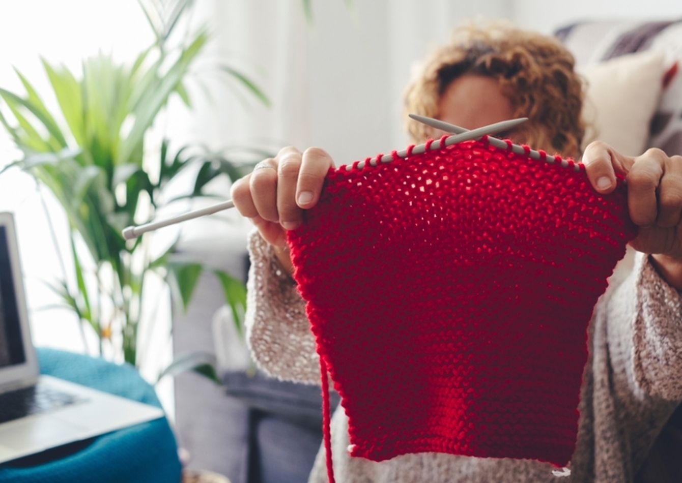 Image of Successful & Longstanding Yarn Shop with Educational Services