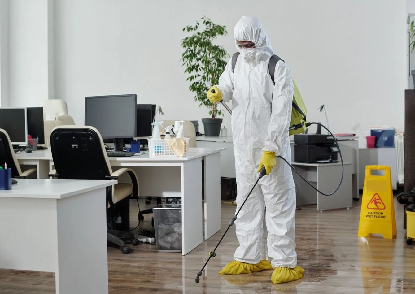 Image of Established Recession-Resistant Remediation Business