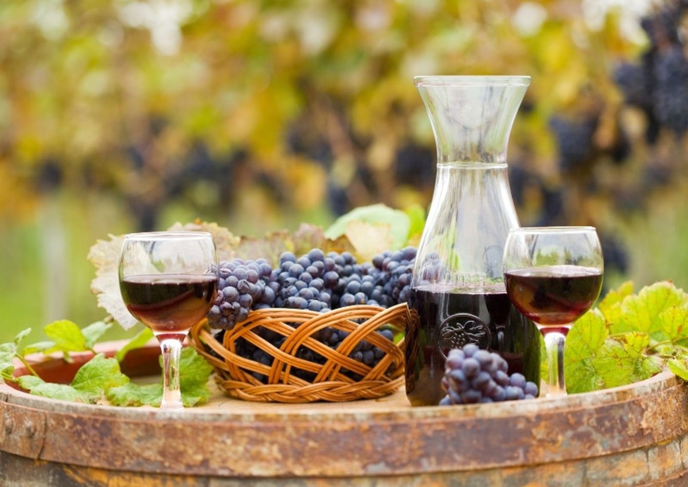 Image of Midwest Premier Winery, Vineyard and Event Center. 58776
