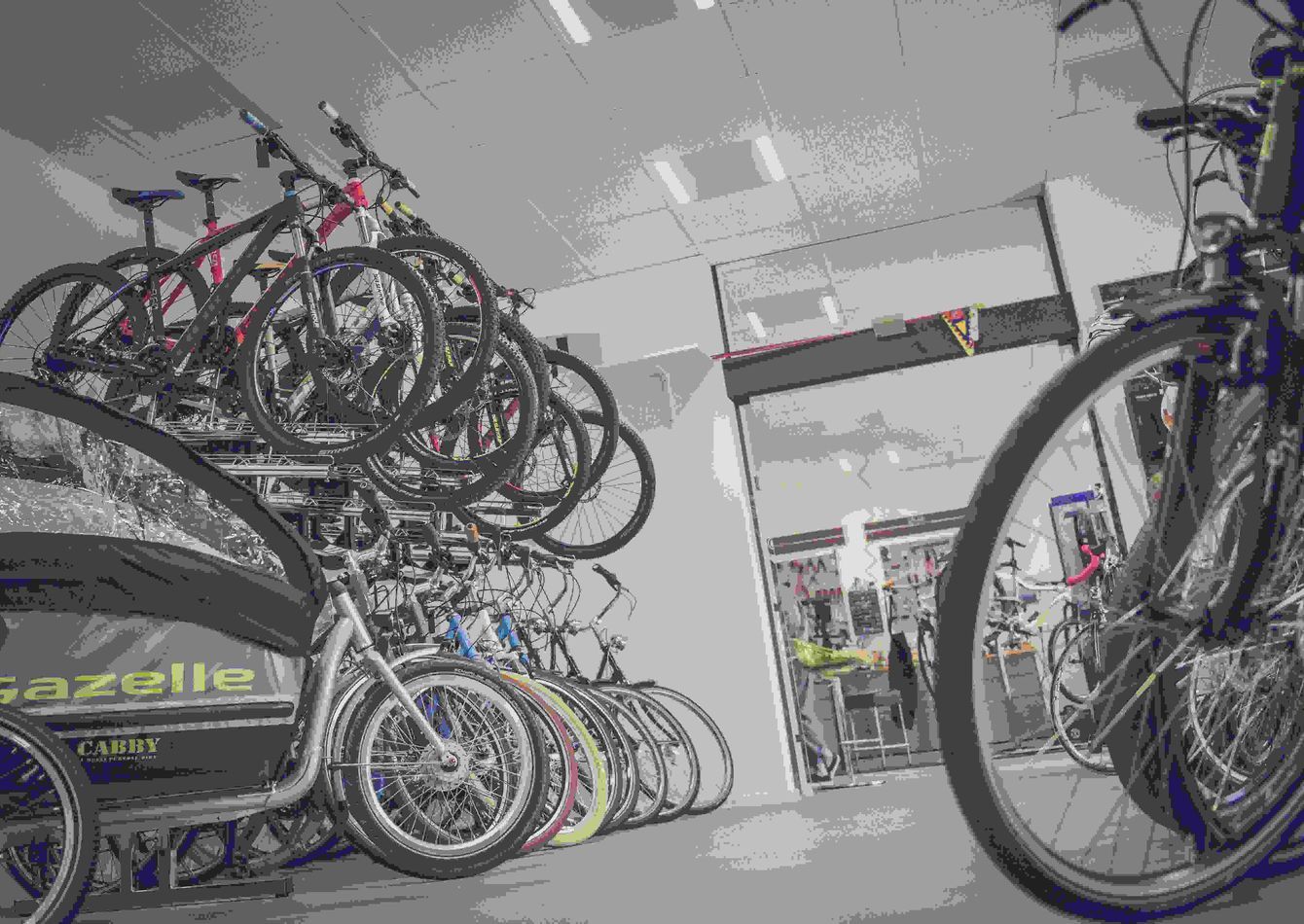Image of Thriving Bicycle & Accessories Shop in Eastern Ontario – 18+ Years of Loyal Customers & Growth Potential!