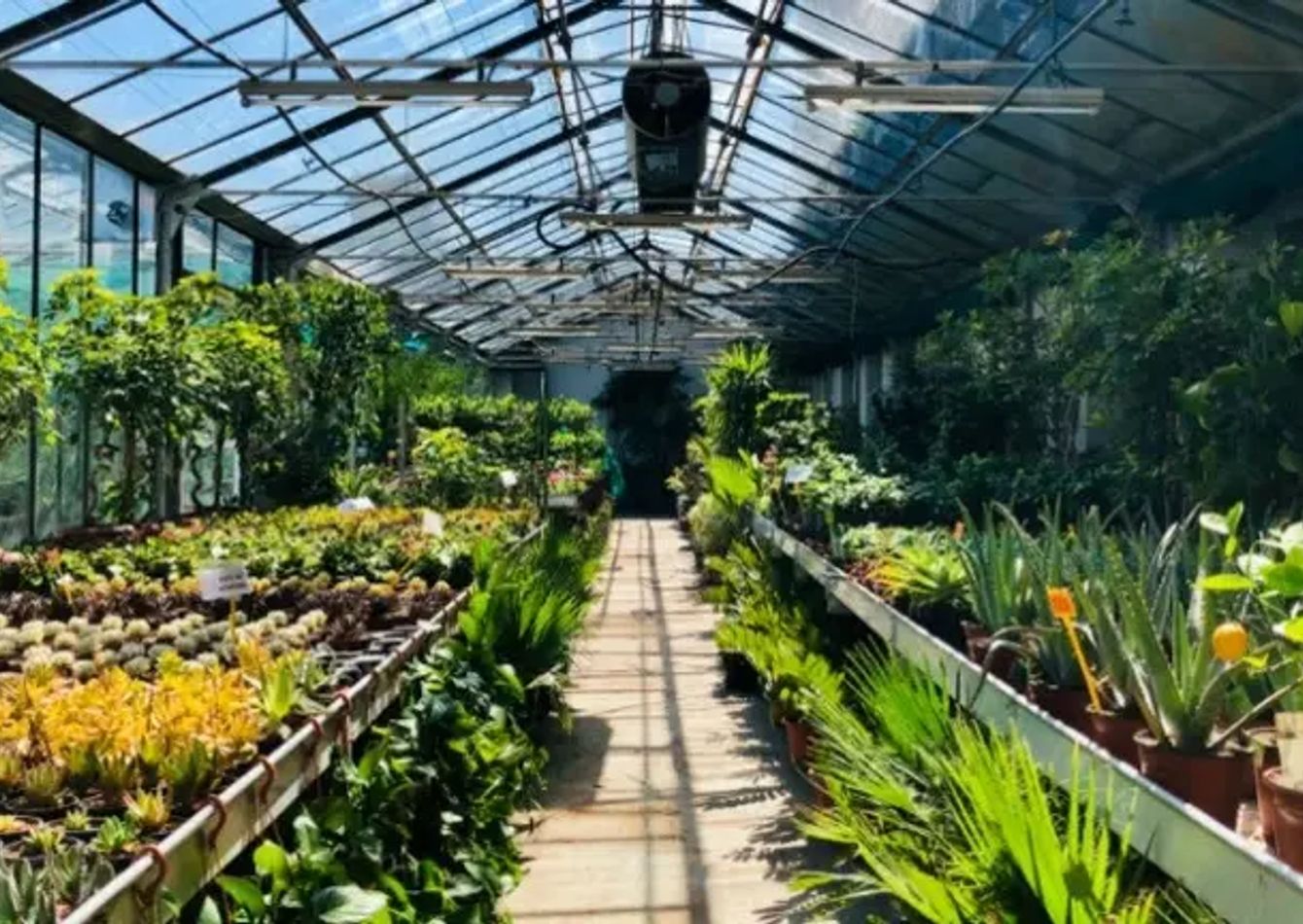 Image of Established Retail Garden Center - Upstate South Carolina