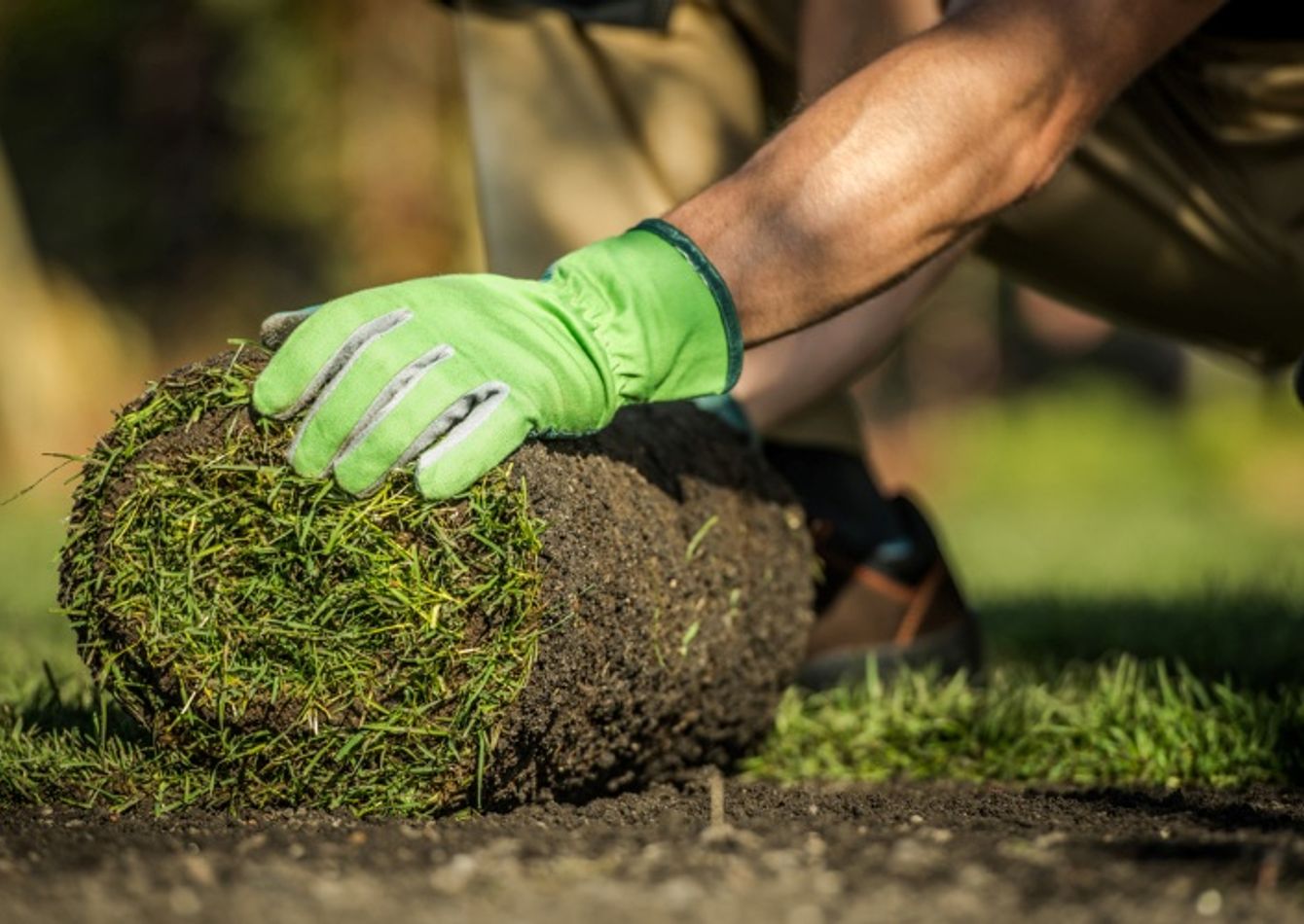 Image of Landscape Business South Metro – $152K Down Gets $389K Cash Flow – SBA Available! 56765